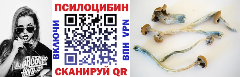 Галлюциногенные грибы мицелий  Менделеевск 